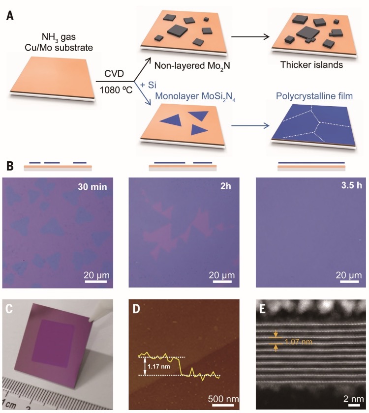 CVD生长二维层状MoSi2N4.jpg